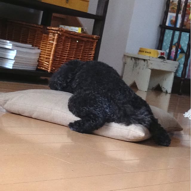 SADAさんの実例写真