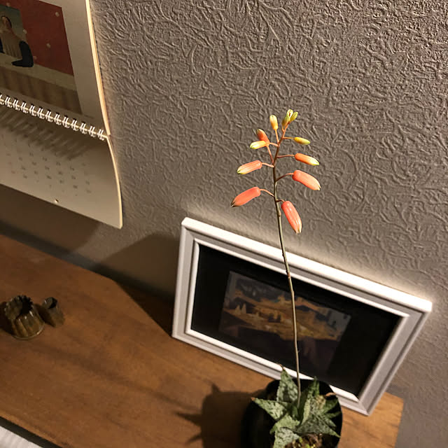 863さんの実例写真