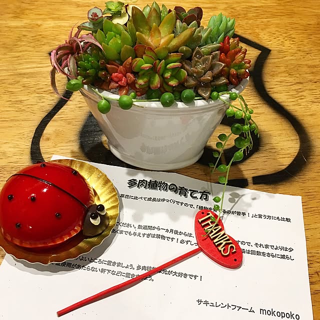 bon-bon-hippieさんの実例写真