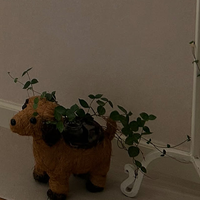 kuraさんの部屋