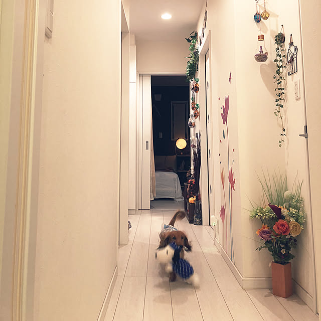 noma--1202さんの実例写真