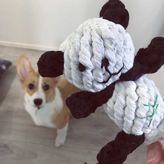 3ayuさんの実例写真