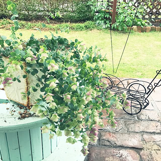 kokko3さんの実例写真