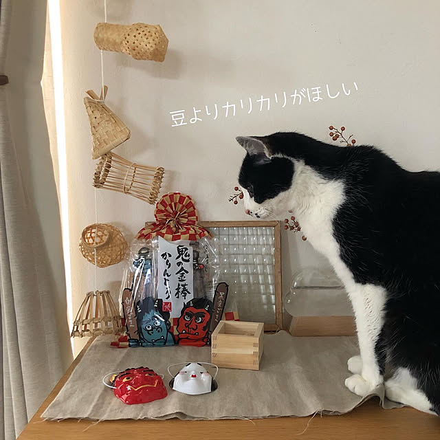 youkoさんの実例写真