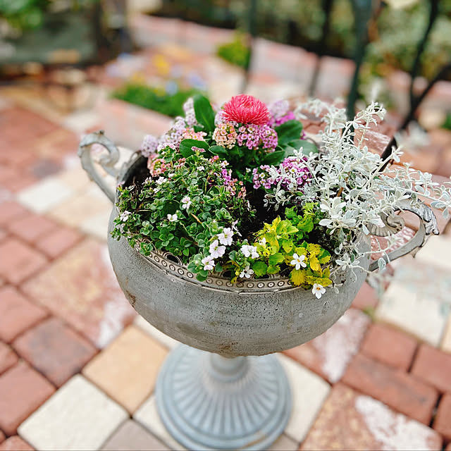 glassflowerさんの実例写真