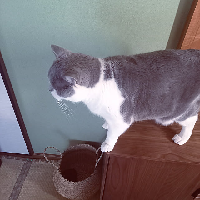 rhuさんの実例写真