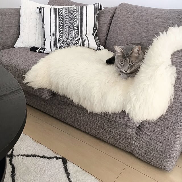nxkyさんの実例写真