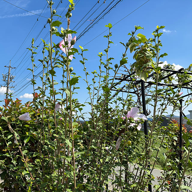 akesanさんの部屋