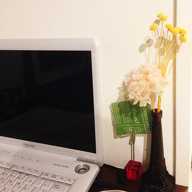 goronauzerさんの実例写真