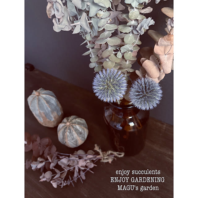 庭の花を飾る/ユーカリ銀世界/ルリタマアザミ/癒し☺︎/花のある暮らし...などのインテリア実例 - 2022-08-13 22:47:43