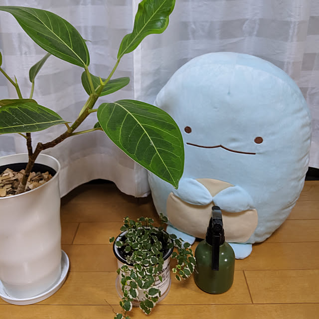slownightさんの実例写真