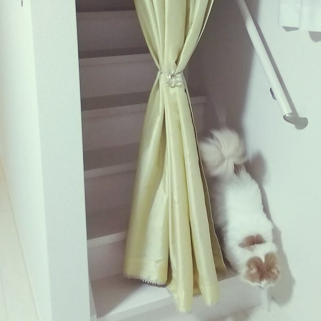 nonkoさんの実例写真