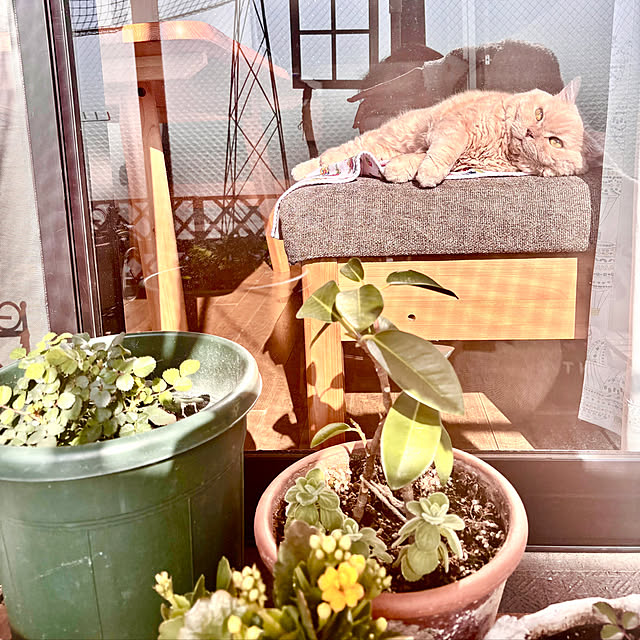 naokoさんの部屋