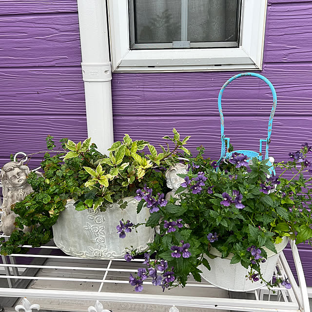 AYUKOさんの部屋