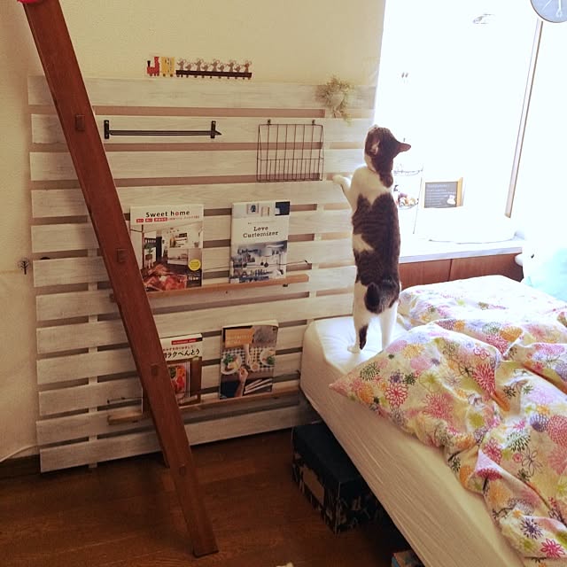 sminoeさんの実例写真