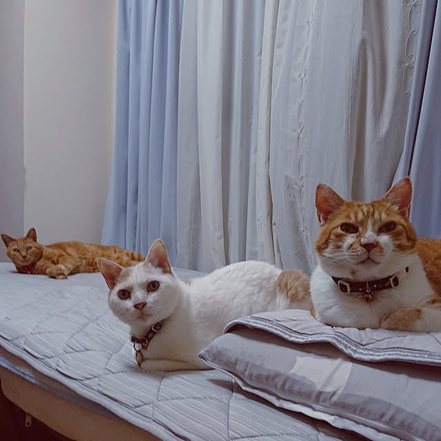 NOAHさんの実例写真