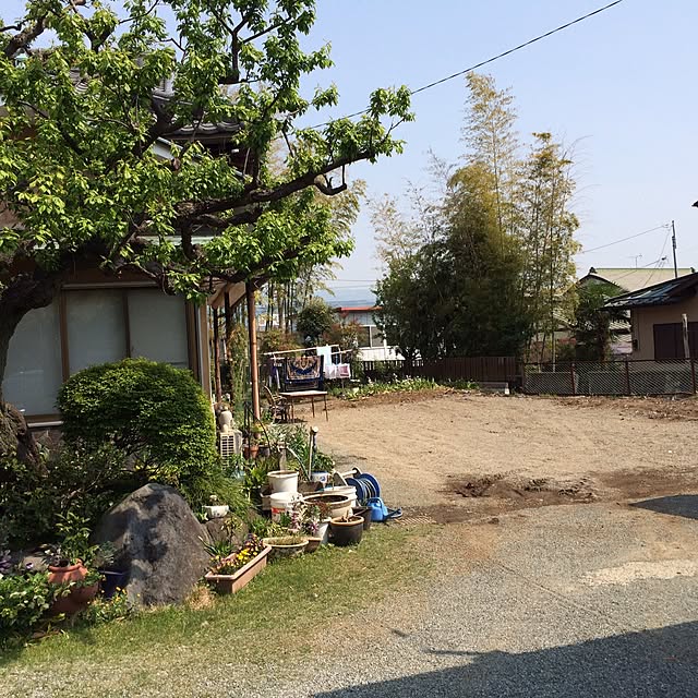 alexdragonさんの実例写真