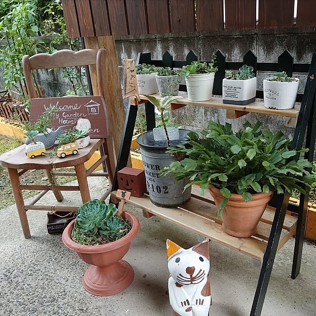 fukuさんの部屋