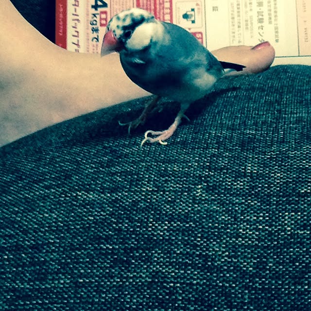 taroさんの実例写真