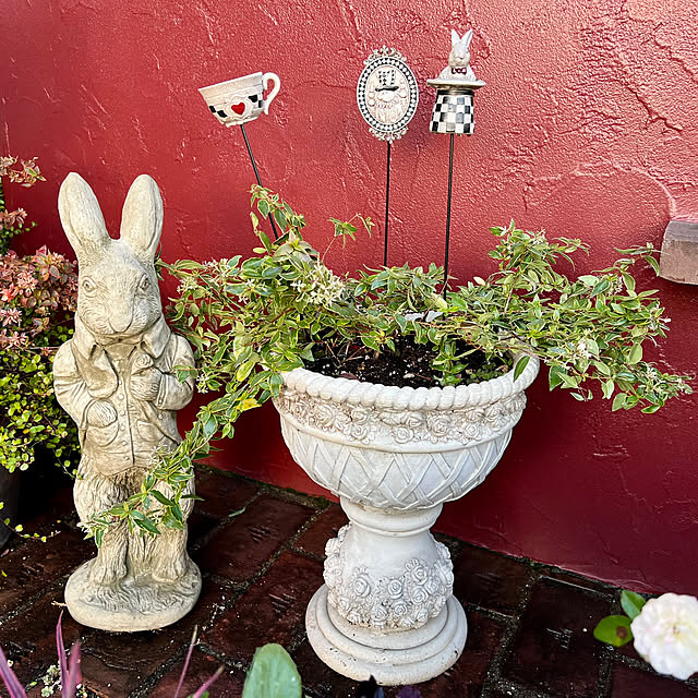 AYUKOさんの部屋