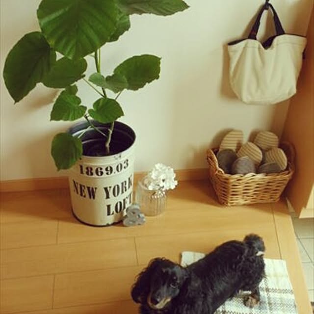 marorinさんの実例写真