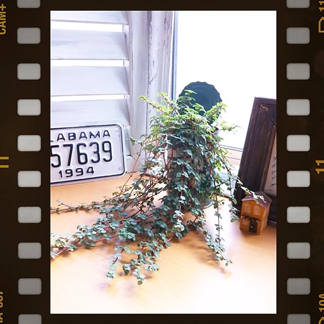 miii777さんの実例写真