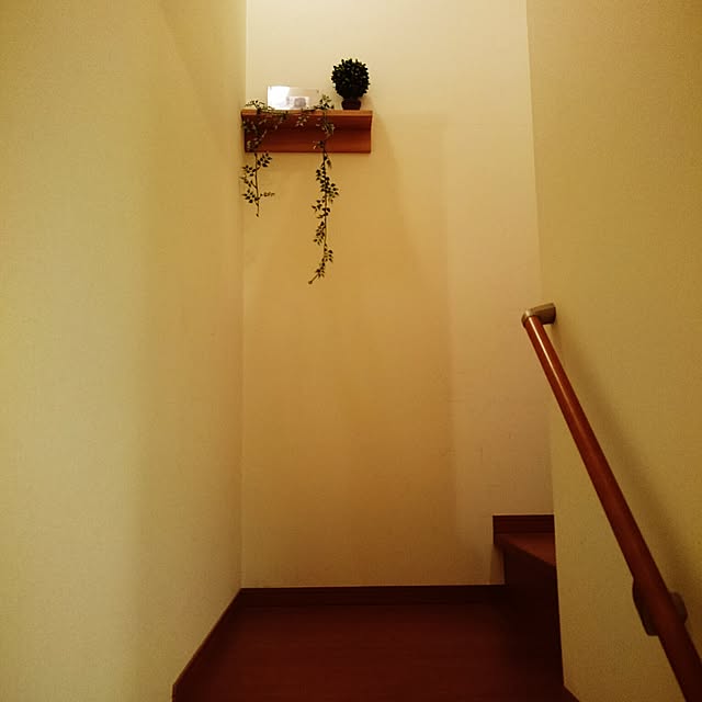 hig.さんの実例写真