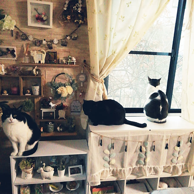 Tomopさんの実例写真