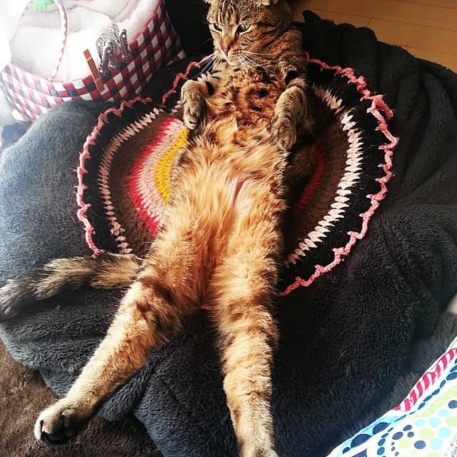 nikuさんの実例写真