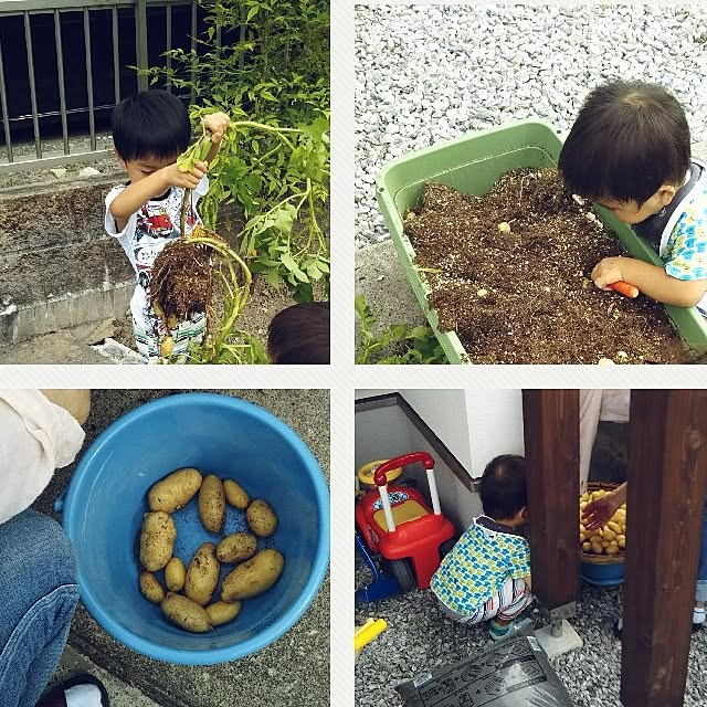 chikohiroさんの実例写真