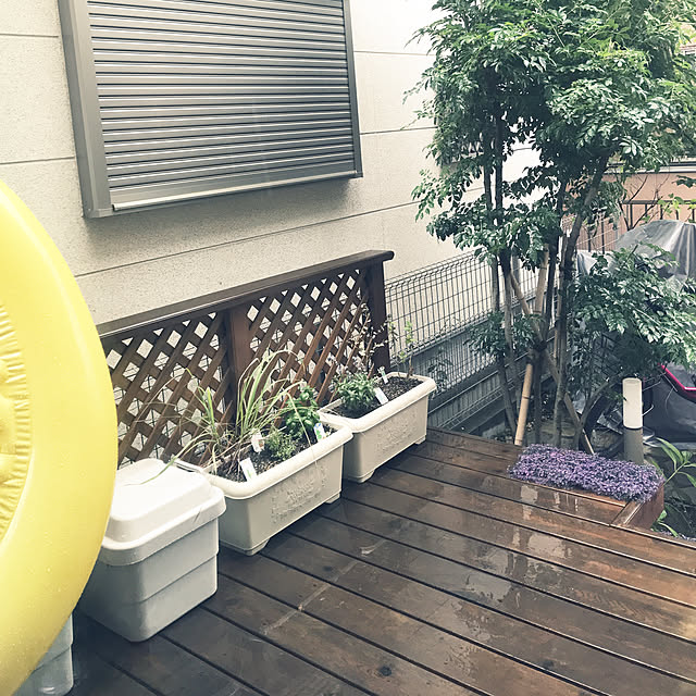 ytkさんの実例写真