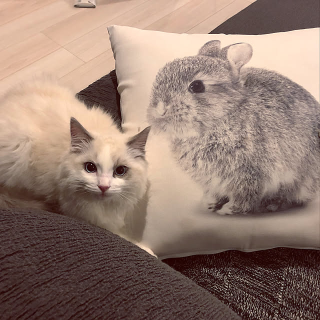 Kさんの実例写真