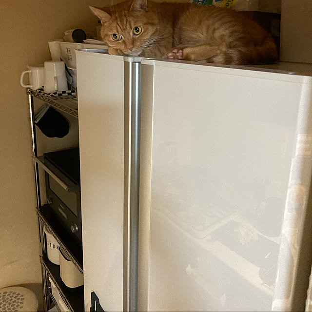 rumiさんの実例写真