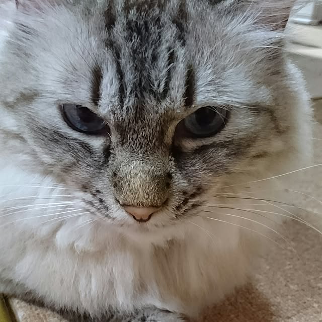 hiroさんの実例写真