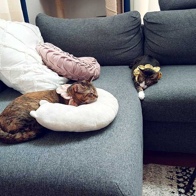 mochicoさんの実例写真