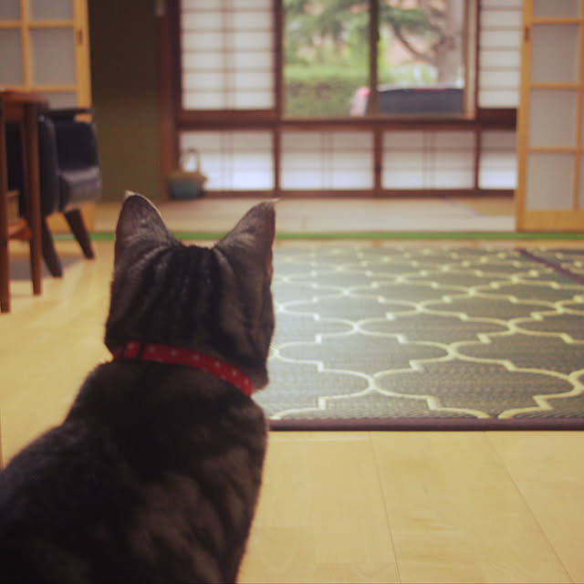 jukai8153さんの実例写真