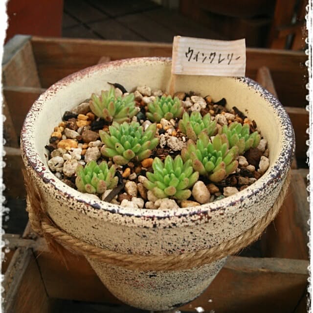 kaochanさんの実例写真