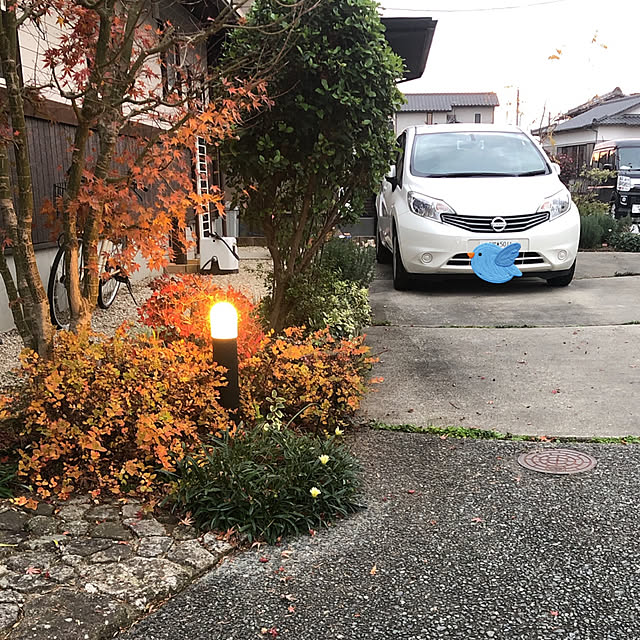 miyaさんの実例写真