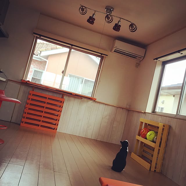 実例写真