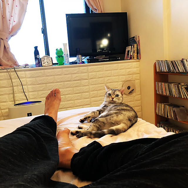 fantasticさんの実例写真