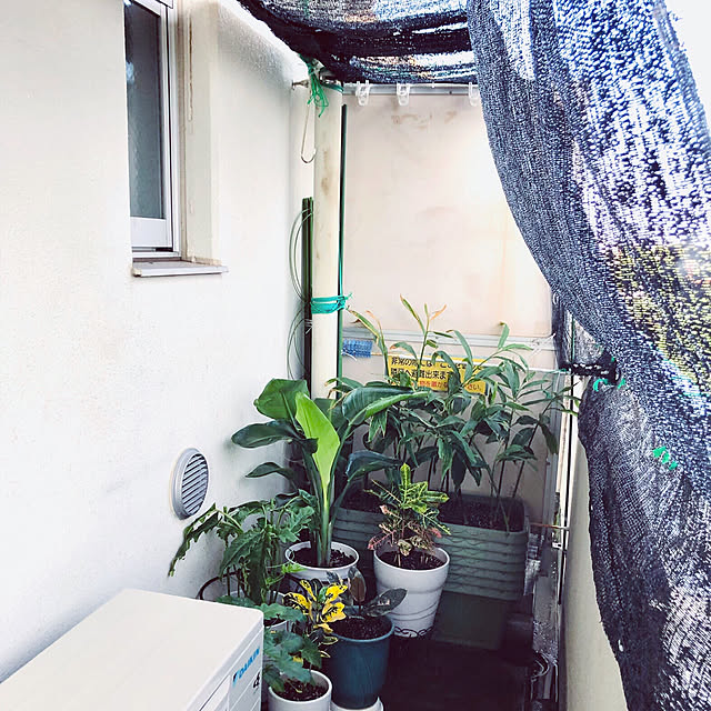 hanachanさんの部屋