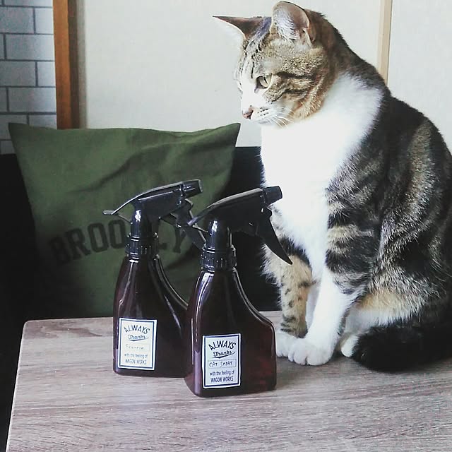 yuuさんの実例写真