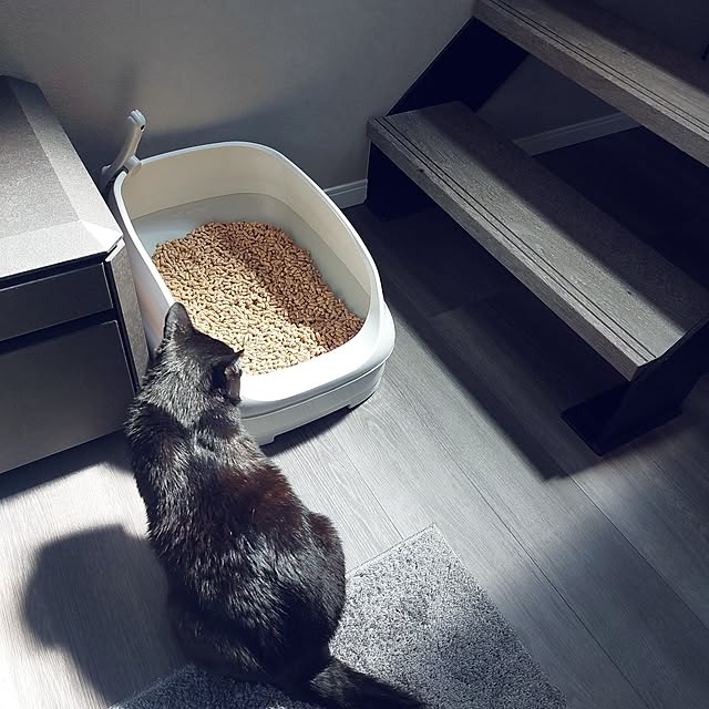 rita9kさんの実例写真