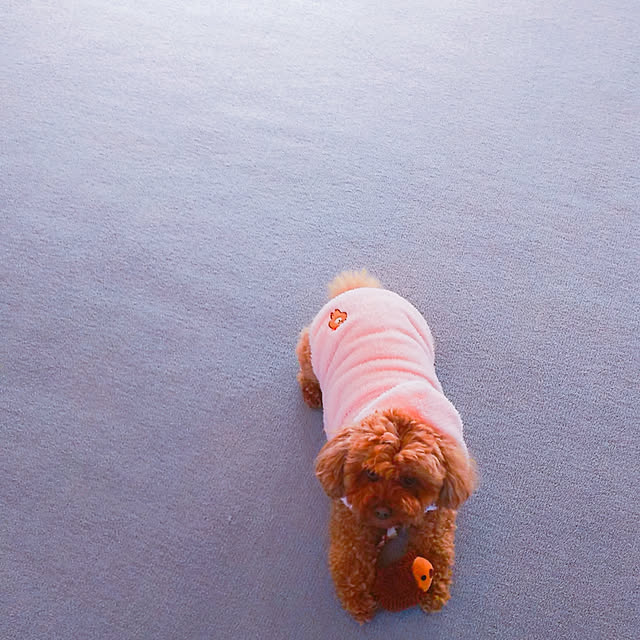 cherrycherryさんの実例写真