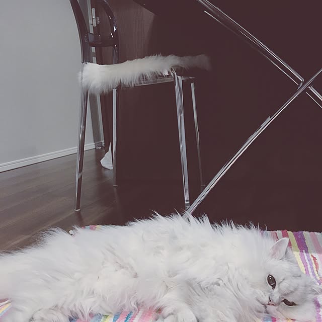 Yucokeさんの実例写真