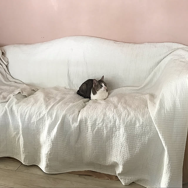 merisannさんの実例写真