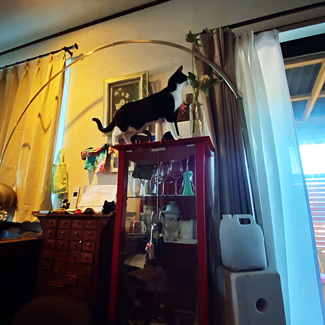 mirisukeさんの実例写真