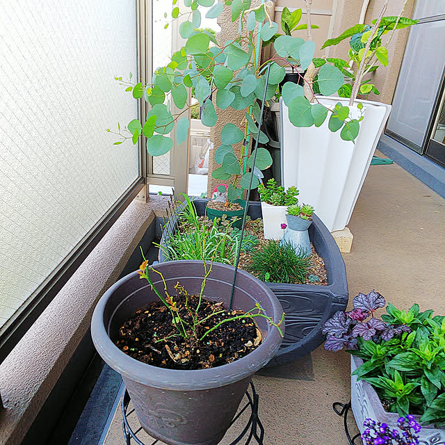 n0516さんの実例写真