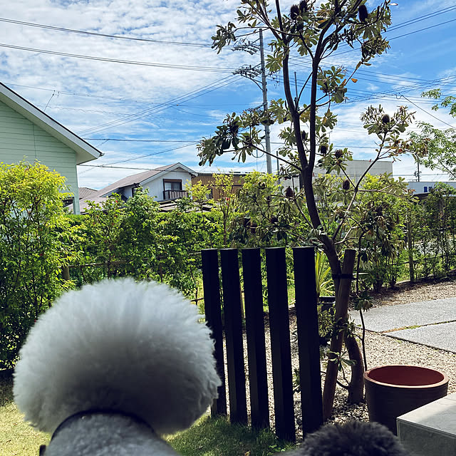 matthewさんの部屋