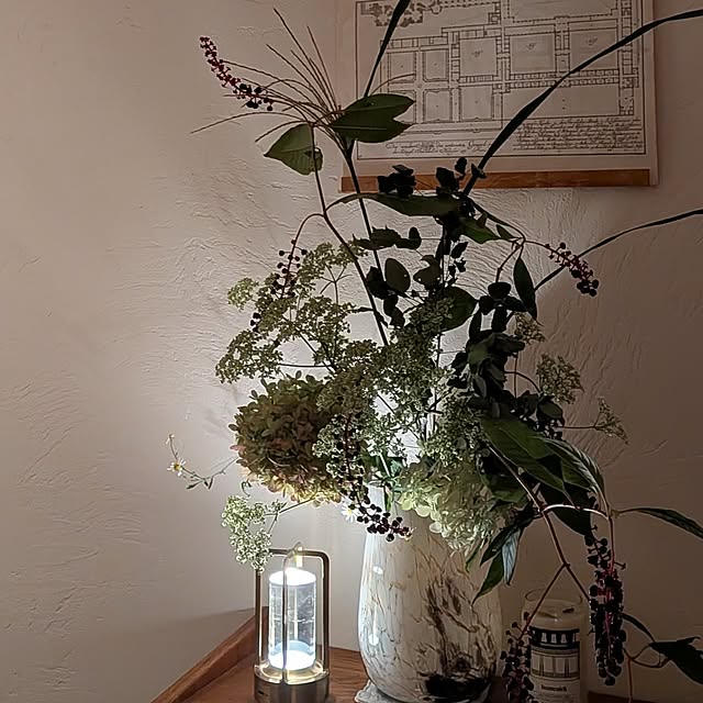 nolleyさんの部屋